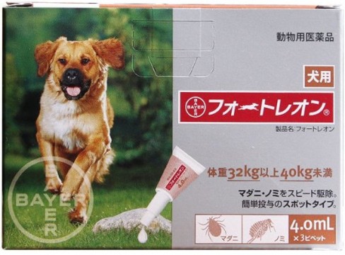 フォートレオン