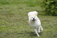DSC7887