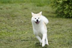 DSC7888