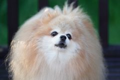DSC9053
