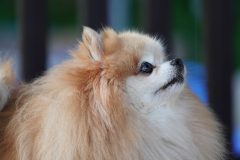 DSC9067