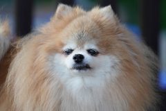 DSC9069