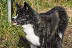 DSC1162