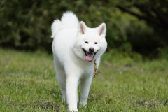 DSC0045