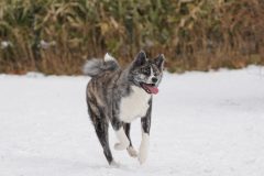DSC3263