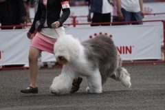 DSC6053