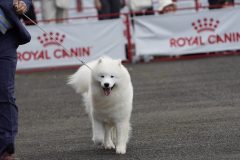 DSC6160