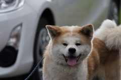 DSC3094