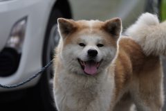 DSC3095