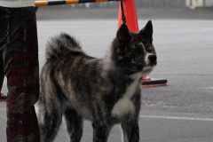 DSC0402