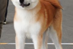 DSC0418