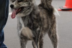 DSC0500