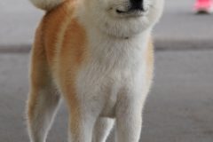 DSC0510