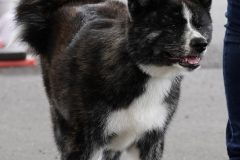 DSC0535