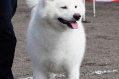 DSC0696