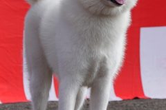 DSC0719