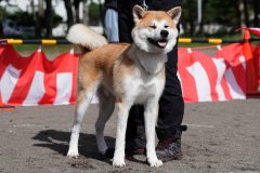 DSC0790