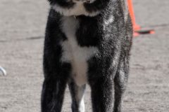 DSC0877