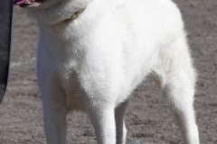 DSC0900