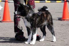 DSC0975