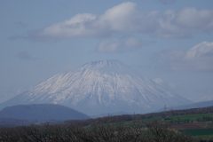DSC6990