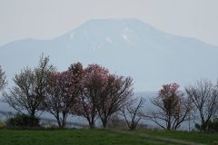 DSC7090